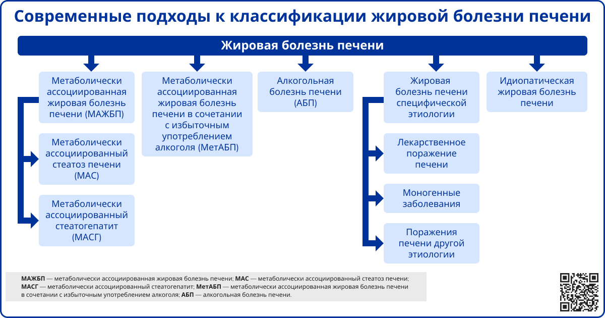 Современные подходы к классификации жировой болезни печени